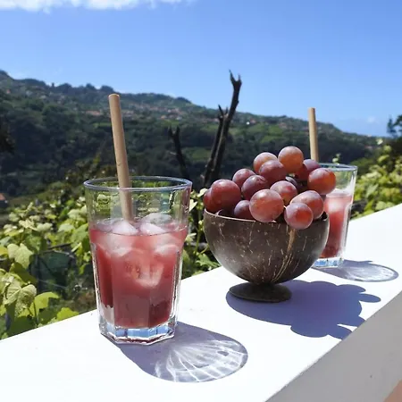 Quintinha Do Alvaro - House Santana (Madeira)