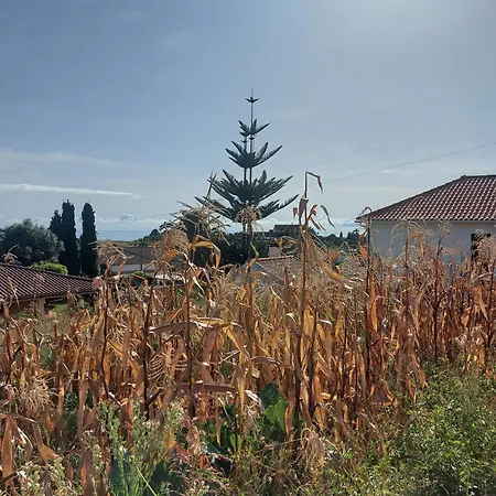 Villa Quintinha Do Alvaro - House