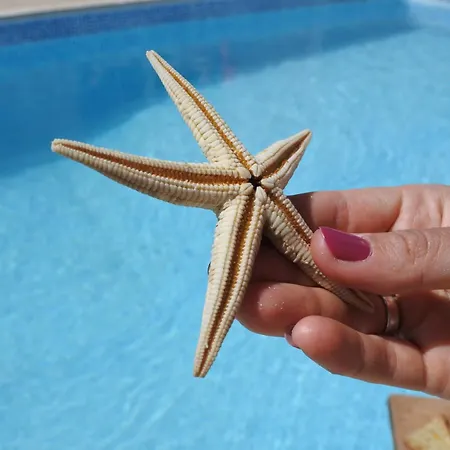 Villa Quintinha Do Alvaro - House *