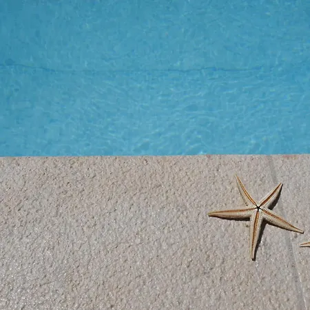 Quintinha Do Alvaro - House Villa Santana (Madeira)