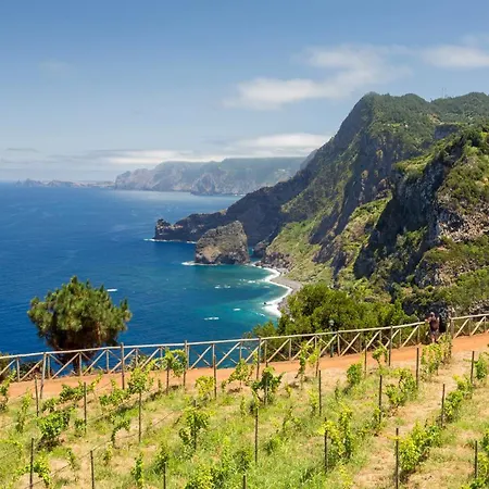 Quintinha Do Alvaro - House Villa