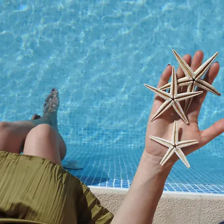 Quintinha Do Alvaro - House * Santana (Madeira)