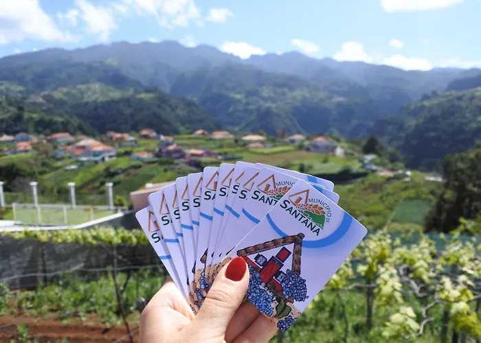 Quintinha Do Alvaro - House