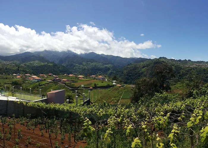 Willa Quintinha Do Alvaro - House