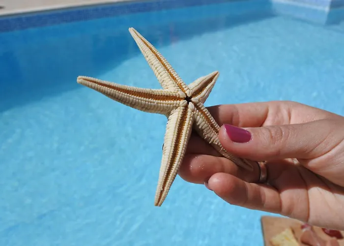 Willa Quintinha Do Alvaro - House *