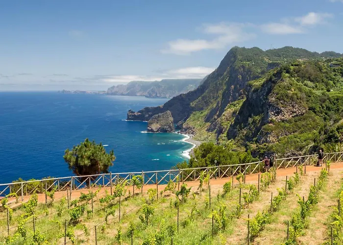 Quintinha Do Alvaro - House Willa